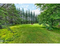 50354 Rge Rd 235, Rural Leduc County, AB T4X0M1 Photo 71