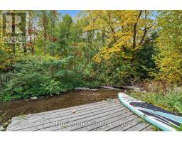 645 Mountain Road, Collingwood, ON L9Y5G2 Photo 44