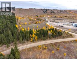 1225 Exeter Mckinley Road, 100 Mile House, BC V0K2E0 Photo 13