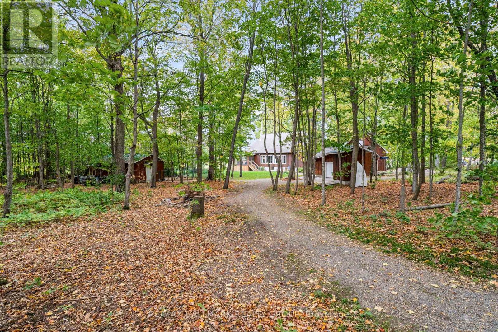 5215 ALGONQUIN ROAD - Image 48