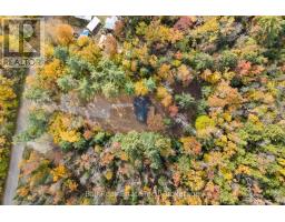 319 Boundary Road, Minden Hills, ON K0M2A1 Photo 48
