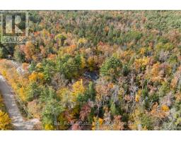 319 Boundary Road, Minden Hills, ON K0M2A1 Photo 49