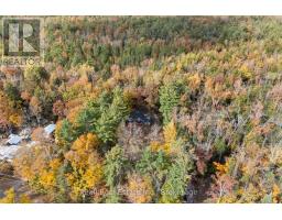 319 Boundary Road, Minden Hills, ON K0M2A1 Photo 50