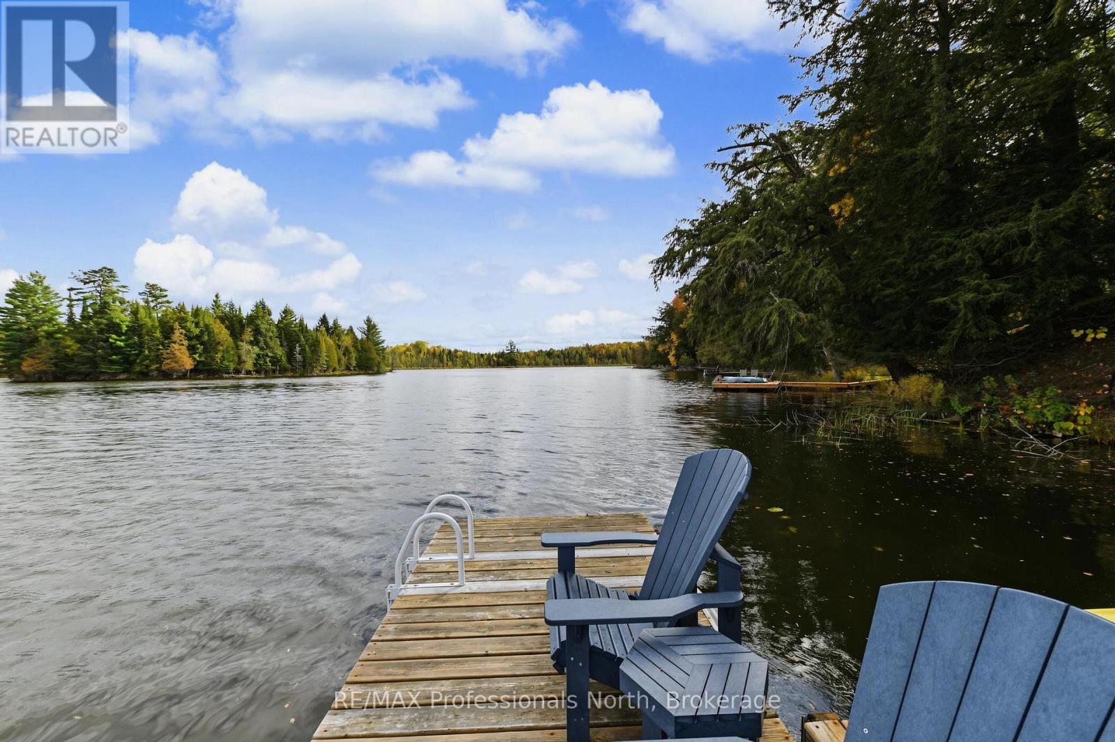 1211 BALMORAL LANE - 46
