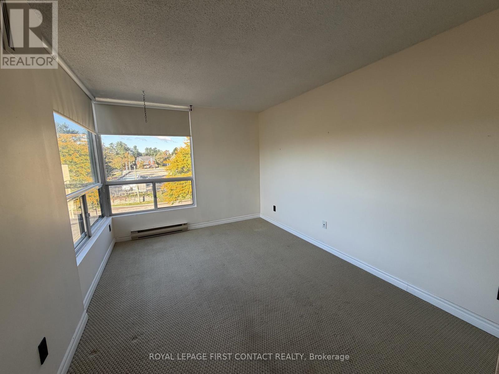 75 Ellen Street — photo 8