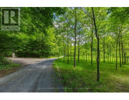 812 Buck Hollow Lane, Leeds And The Thousand Islands, ON K0E1N0 Photo 45