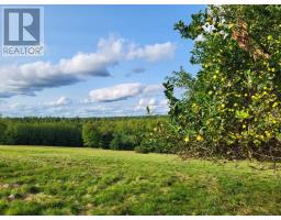 223 Seamone Road, Upper Branch, NS B4V4Y5 Photo 22