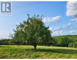 223 Seamone Road, Upper Branch, NS B4V4Y5 Photo 21