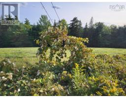 223 Seamone Road, Upper Branch, NS B4V4Y5 Photo 17