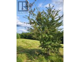 223 Seamone Road, Upper Branch, NS B4V4Y5 Photo 18