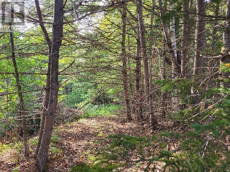 Property 26 of 28 of 223 Seamone Road