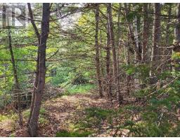 223 Seamone Road, Upper Branch, NS B4V4Y5 Photo 26