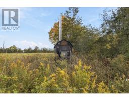 312 Badgley Road, Prince Edward County, ON K0K1L0 Photo 47
