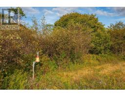 Lot Eustache Comeau Road, Lower Saulnierville, NS B0W2Z0 Photo 19