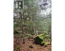 Lt 24 Harrison Way, Gabriola Island, BC V0R1X2 Photo 13