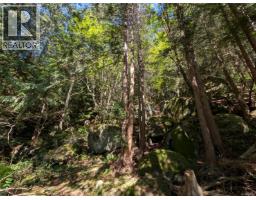 Lt 24 Harrison Way, Gabriola Island, BC V0R1X2 Photo 8