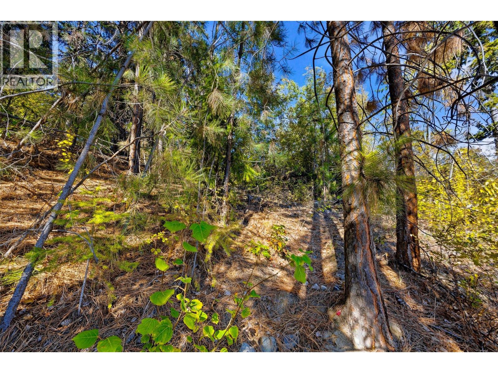 3220 McIver Road - 42