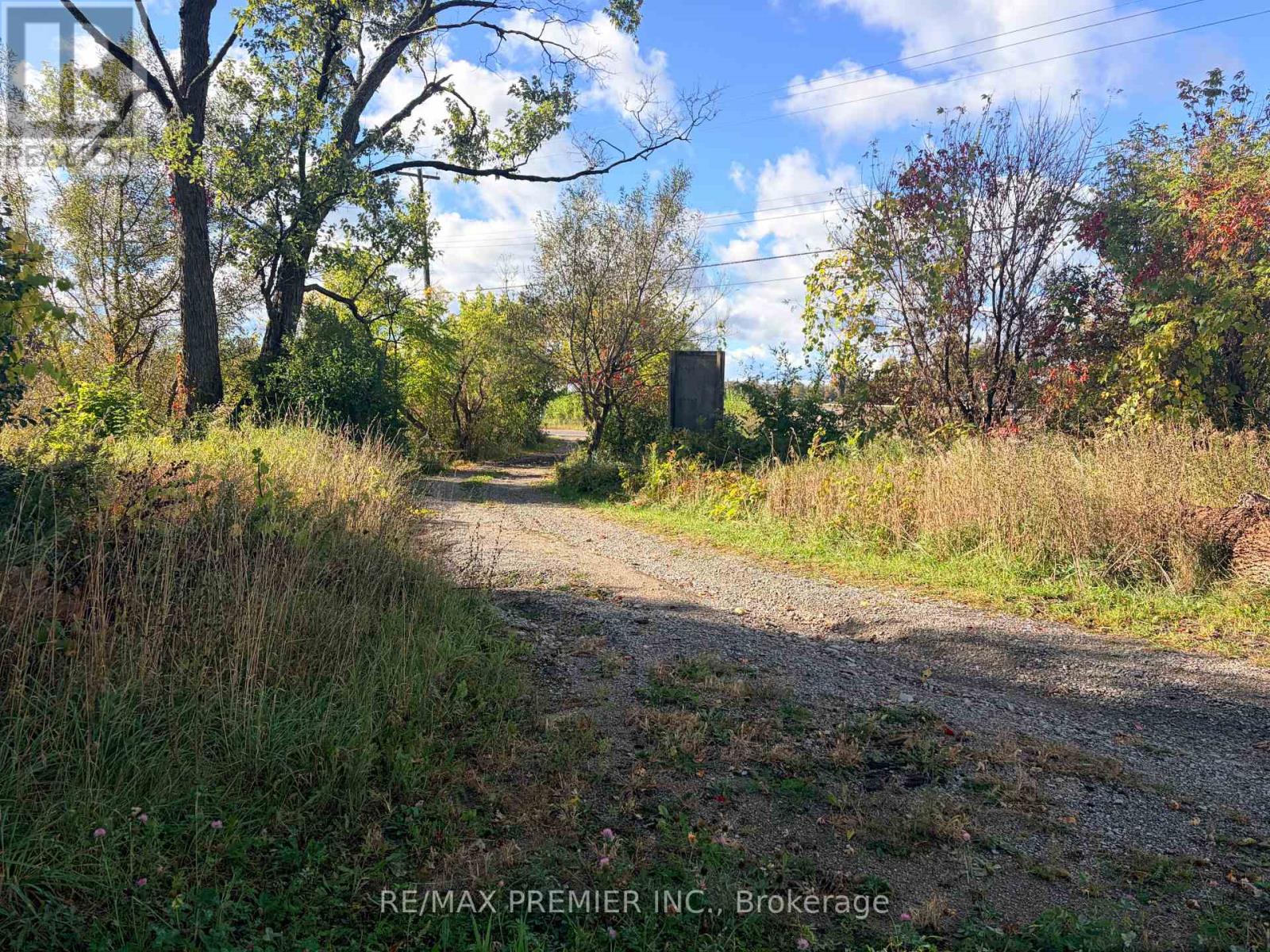 8665 Hwy 11, Severn, ON photo 2