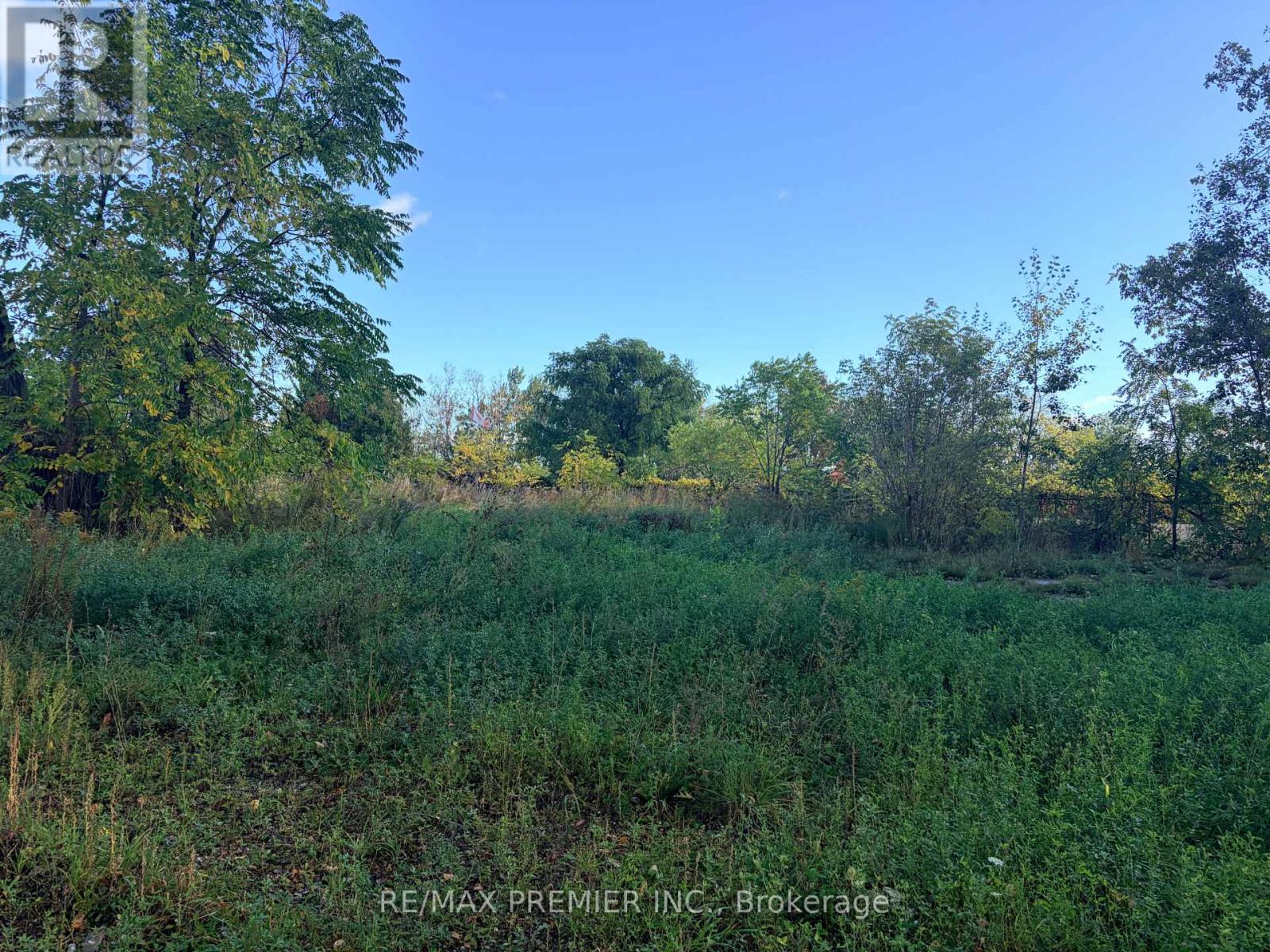 8665 Hwy 11, Severn, ON photo 5