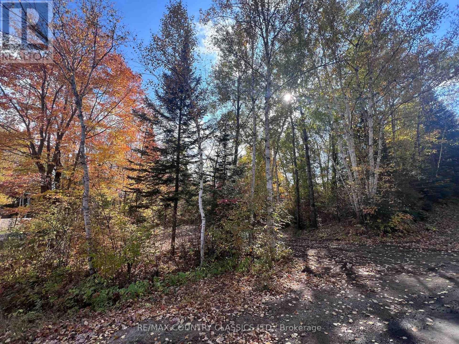 0 High Bush Road, Hastings Highlands, ON photo 2