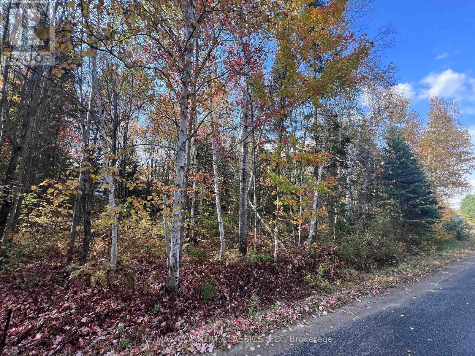 0 High Bush Road, Hastings Highlands, ON photo 9
