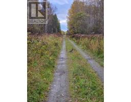 Shalf Lt 6 Con 2 Day Mar Road, Englehart, ON P0J1H0 Photo 31