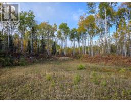 Shalf Lt 6 Con 2 Day Mar Road, Englehart, ON P0J1H0 Photo 28