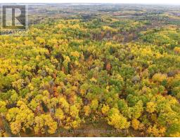 Shalf Lt 6 Con 2 Day Mar Road, Englehart, ON P0J1H0 Photo 41