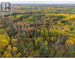 Shalf Lt 6 Con 2 Day Mar Road, Englehart, ON P0J1H0 Photo 33