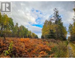Shalf Lt 6 Con 2 Day Mar Road, Englehart, ON P0J1H0 Photo 30