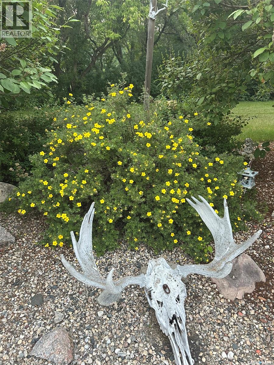WITOWSKI ACREAGE - 53