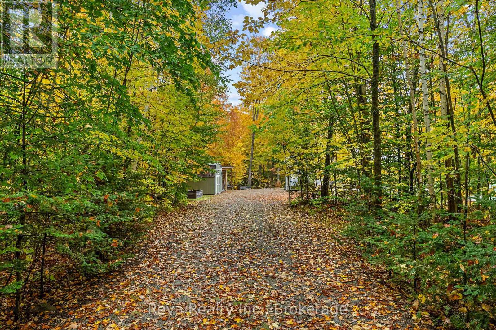 595 Old Diamond Lake Road, Hastings Highlands, ON photo 26