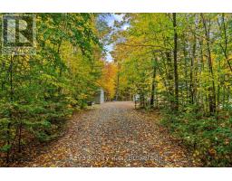 595 Old Diamond Lake Road, Hastings Highlands, ON K0L1C0 Photo 26