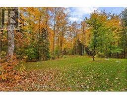 595 Old Diamond Lake Road, Hastings Highlands, ON K0L1C0 Photo 31