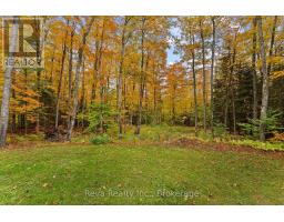 595 Old Diamond Lake Road, Hastings Highlands, ON K0L1C0 Photo 32