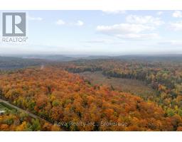 595 Old Diamond Lake Road, Hastings Highlands, ON K0L1C0 Photo 38