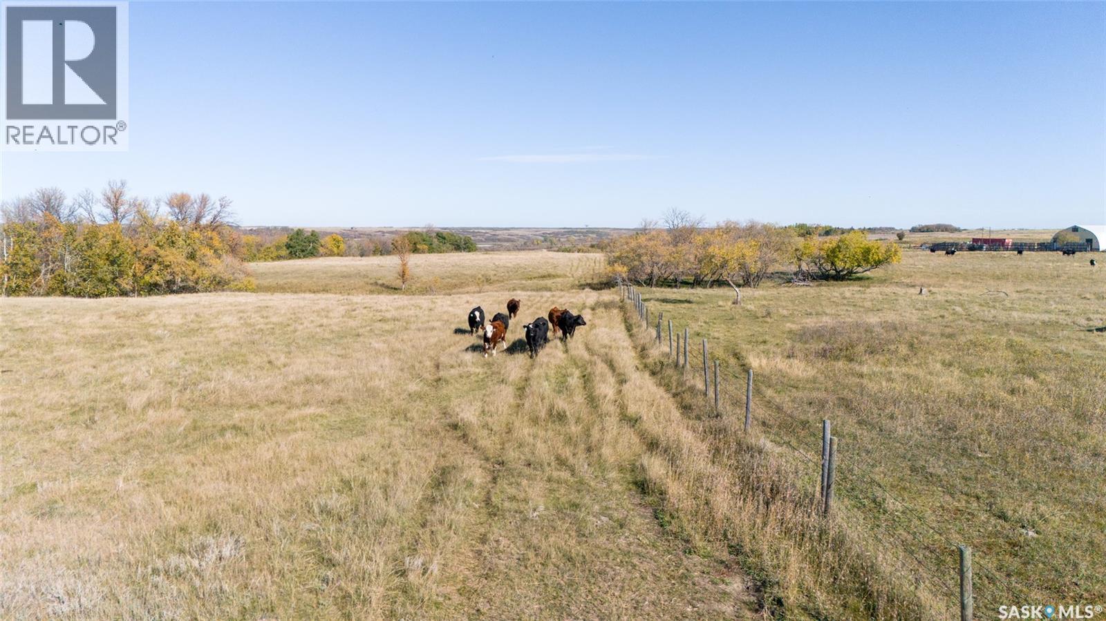 Outlook 258 Acres, Rudy Rm No. 284 — photo 18