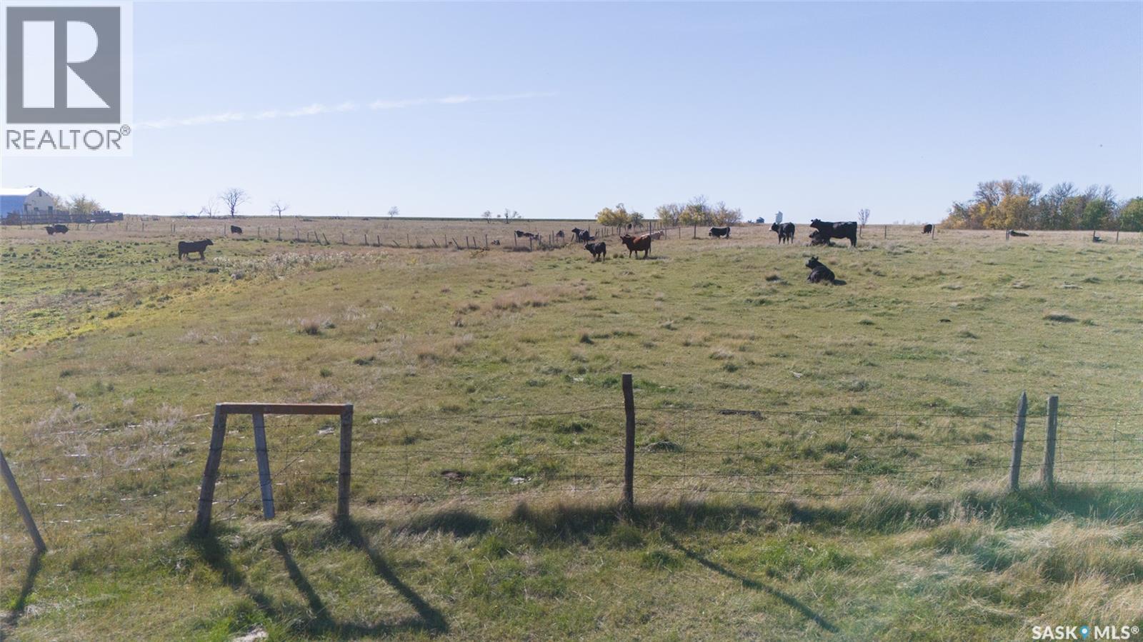 Outlook 258 Acres, Rudy Rm No. 284 — photo 27