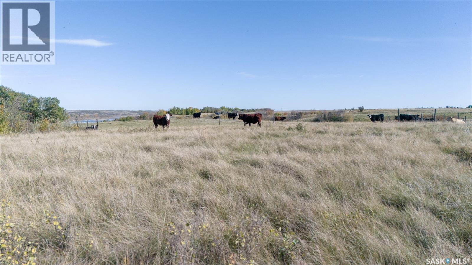 Outlook 258 Acres, Rudy Rm No. 284 — photo 29