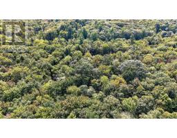 1112 Falkenburg Road, Bracebridge), ON P1L1X4 Photo 6