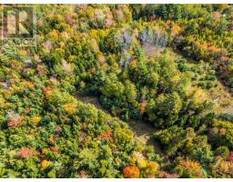 Lot Langford Road, Southville, NS B0W3T0 Photo 6
