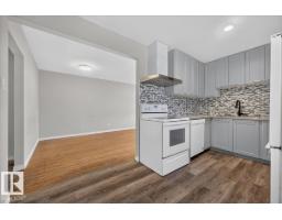 10716 51 Av Nw, Edmonton, AB T6H0L2 Photo 19