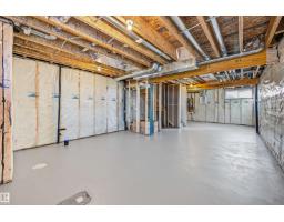 3028 192 St Nw, Edmonton, AB T6M3M3 Photo 29