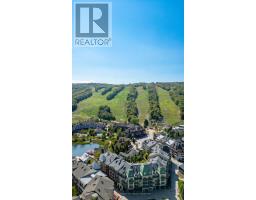 734 Mountain Road, Collingwood, ON L9Y5G1 Photo 39