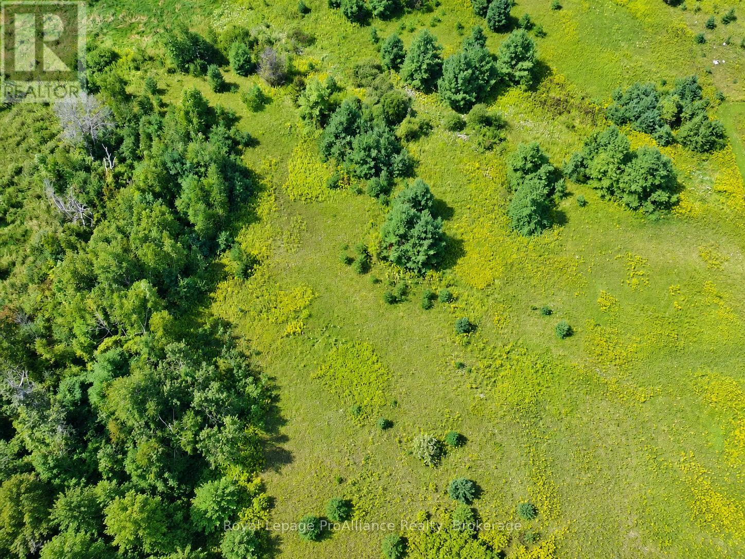 0 Campbell Road, Trent Hills, ON photo 11