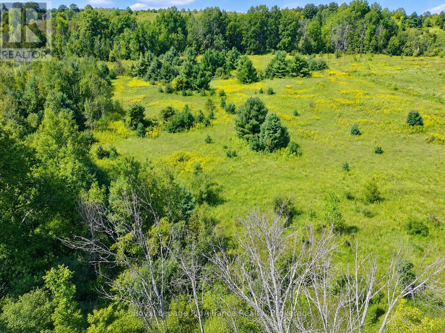 0 Campbell Road, Trent Hills, ON photo 12