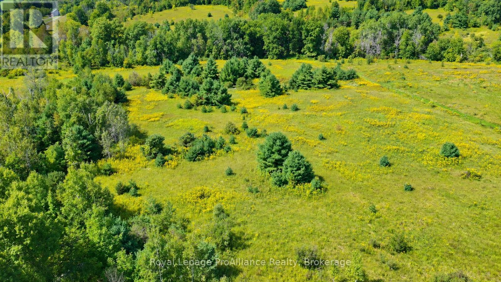 0 Campbell Road, Trent Hills, ON photo 14