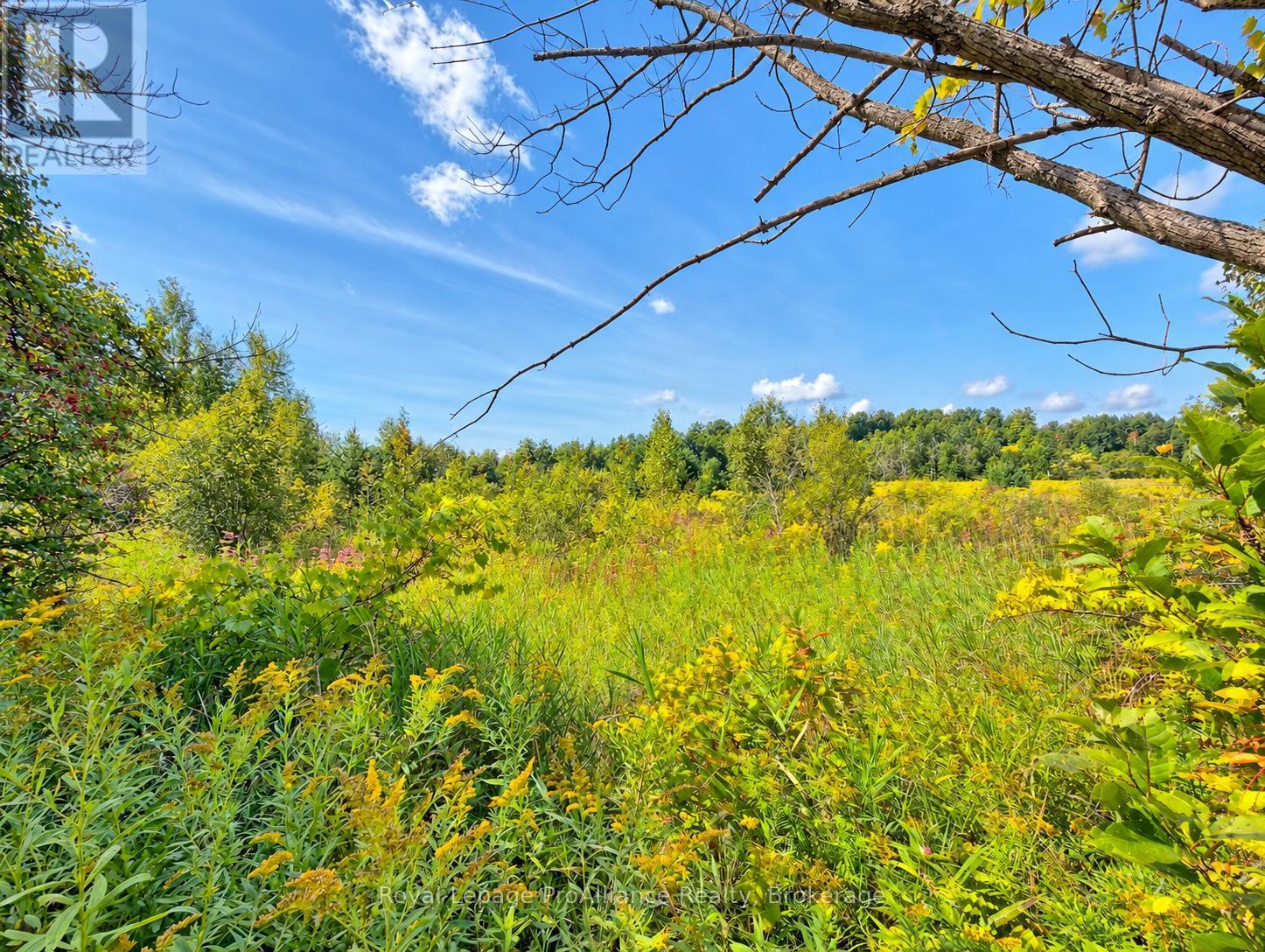0 Campbell Road, Trent Hills, ON photo 21