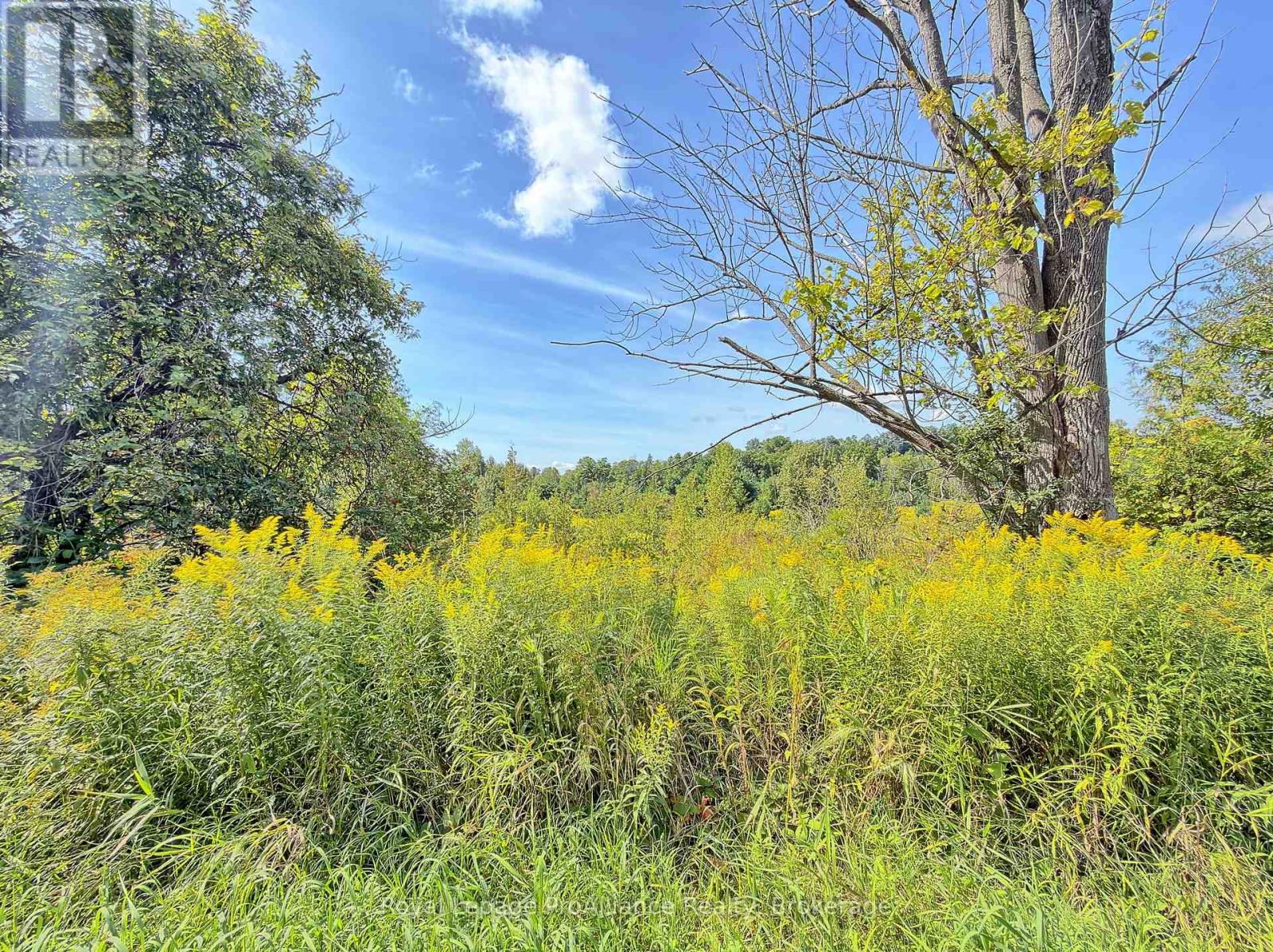 0 Campbell Road, Trent Hills, ON photo 5