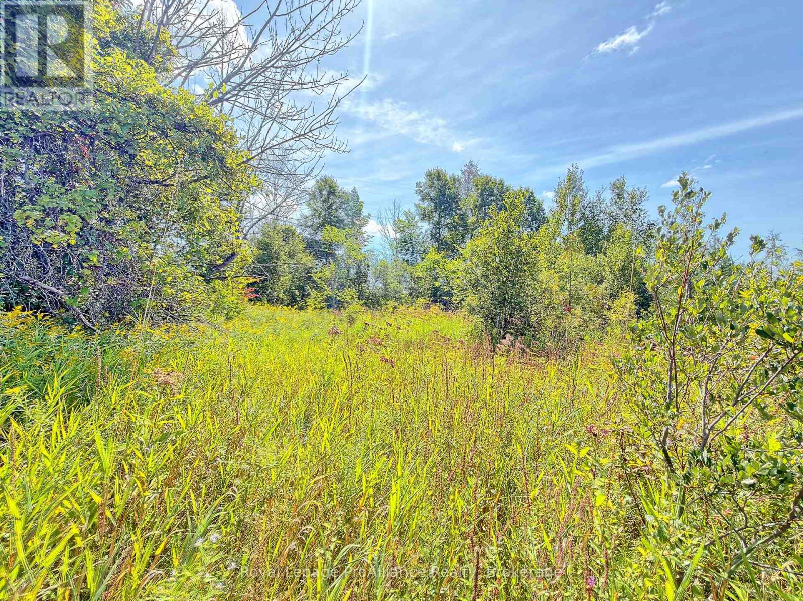 0 Campbell Road, Trent Hills, ON photo 7